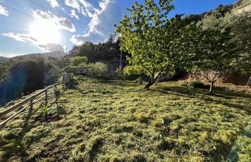 [AC & Garden] Olive Grove Oasis - Foto 15