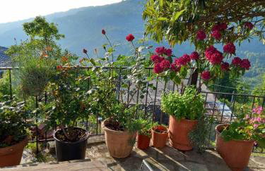 Orizontas Pilio Villa - Photo 15