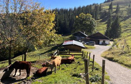 Villa am Goldbach - Foto 38