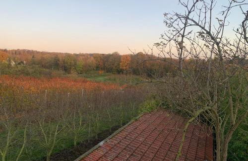 Maison indépendante O - Foto 19