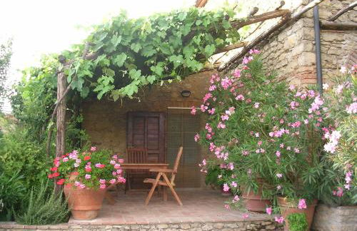 PERGOLA at Le Pietraie a cottage with many flowers - Foto 2