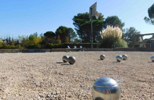 Les Bougainvillées de Camargue - Photo 38