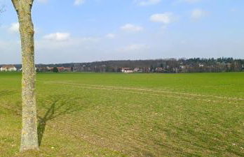 Ferienwohnung Gentsch in Schmannewitz - Foto 75