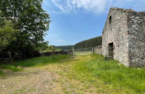 Gorgeous boutique off-grid cottage near Peebles - Foto 62