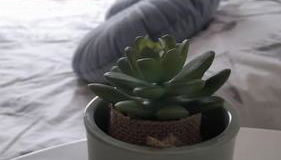 Coqueto apartamento a dos minutos de la playa - Foto 3