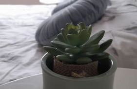 Coqueto apartamento a dos minutos de la playa - Foto 3