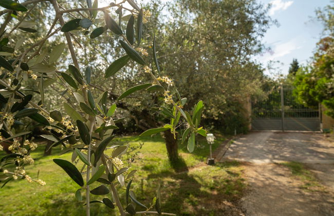 Villa Elster - Foto 39