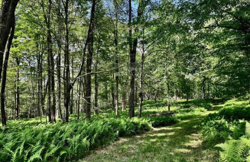 Red Tail Ridge - Foto 13