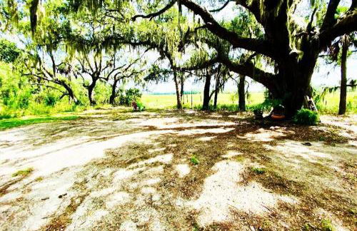 Secluded Tiny House by the Marsh with Hunting Island Beach Pass - Foto 24