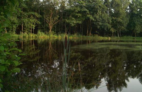 Ferienwohnungen Stricker Harz - Photo 31