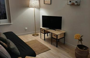 LOUHANS Les Petites Arcades avec ses deux appartements coté Arcades et coté cour - Foto 11