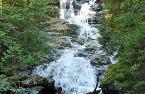 Ferienwohnung Breit - Kirchdorf - Foto 12
