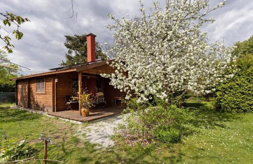 Blockhütte - Foto 27