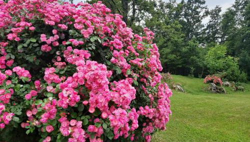 Villa Angelina - Foto 5