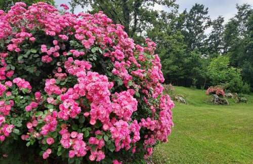 Villa Angelina - Foto 5