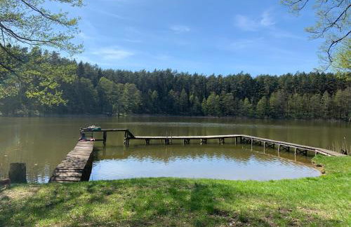 Igły i szyszki - Foto 11