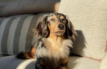 Luxury Boutique retreat, hot tub, dog friendly - Foto 63