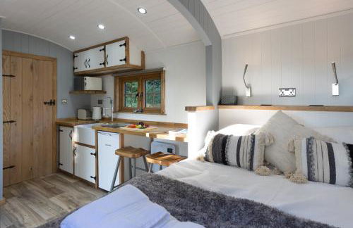 Cwtch Ffynnone Luxury Shepherds Hut - Foto 35