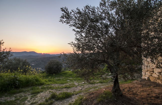 Dioni Palace - Photo 19