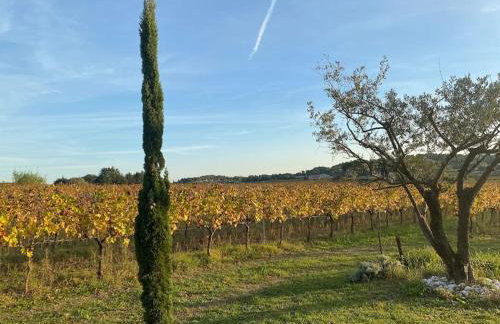 L'atelier de la Bergerie - L’ Ardèche - Via Rhona - Foto 20