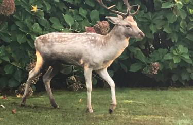 Agriturismo I Leprotti - Photo 57