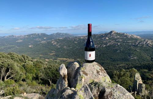 Tenuta Paltusa - Foto 34