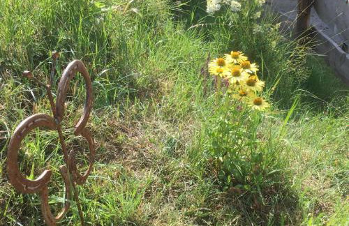 Biohof Weiderer - Foto 15