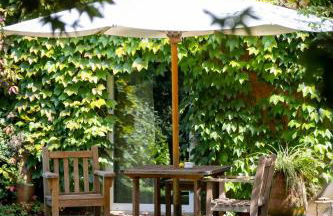 Wine Tourism - Quinta do Ameal - Foto 37