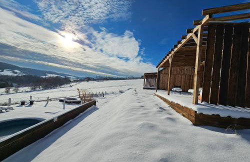 Stodoły w Bieszczadzie domy z basenem i widokiem na góry - Photo 11