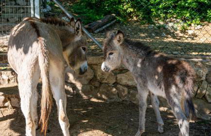 Casa Rural La Chocolateria - Foto 52