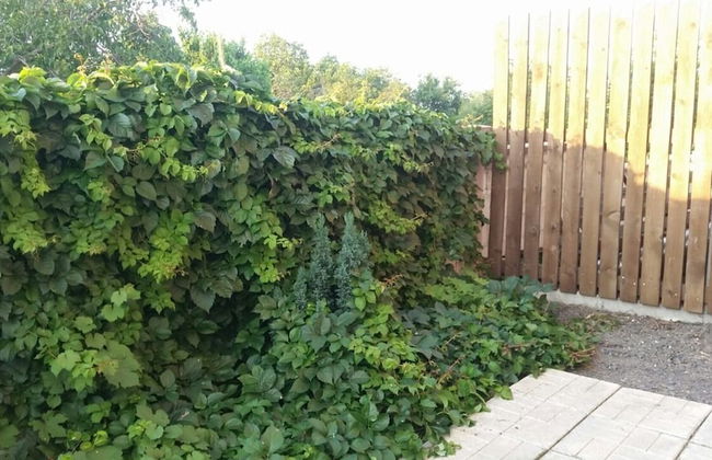 Inviting 1-bed Apartment in Aleksandrovo - Foto 28