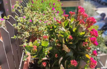 La casa dei nonni a Roma Monte Sacro - Rm Nord - Foto 31