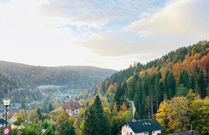 Ferienwohnung Panoramablick - super für deine Familie und die besten Aussicht in ganz Todtmoos - Foto 40