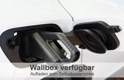 Gulfhof-Ferien Briese - Foto 10