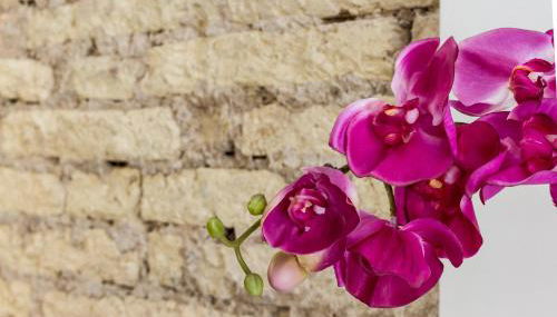 Welcoming Apart Old Town - Foto 3