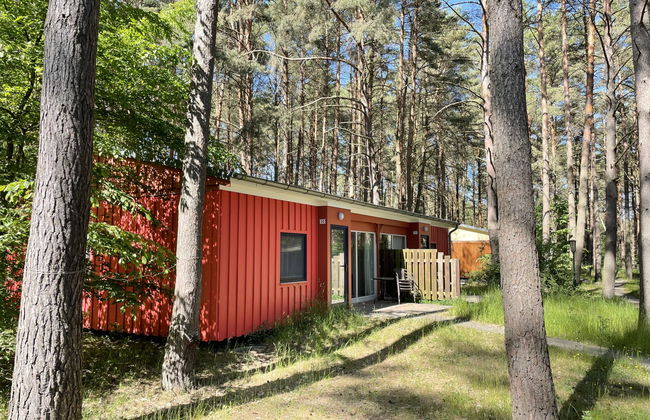 Silz am Fleesensee - Foto 5