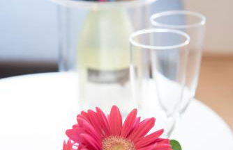 Ferienwohnungen Windischeschenbach by HausGruenerBaum - Photo 24