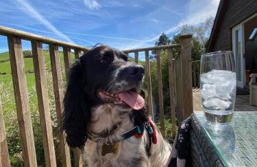 Rookery Cottage - Photo 15