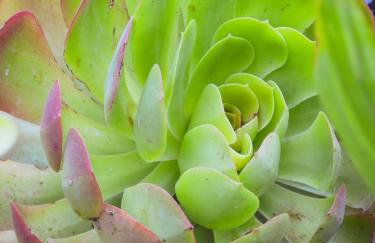 Thanos Village - Foto 36