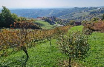 Wine Panorama house - Foto 8