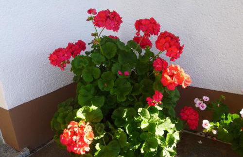 Lush Apartment in Furtwangen near Black Forest with Balcony - Foto 44