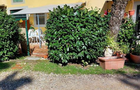 La Piccola Oasi con parcheggio - Foto 49