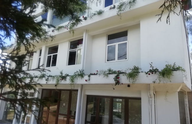 Tea Mount Forest Hotel - Foto 45