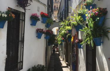 La Condesa de Vallellano - Foto 25