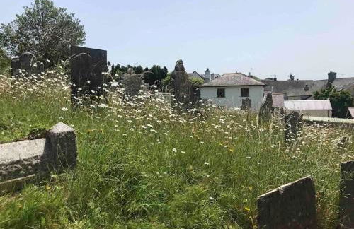 Church View - c. 1750 cosy character cob cottage. - Foto 7