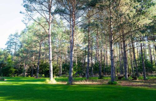 Leśna Strzecha - Foto 33