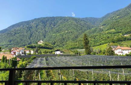 Haus Sonnegg - Foto 36