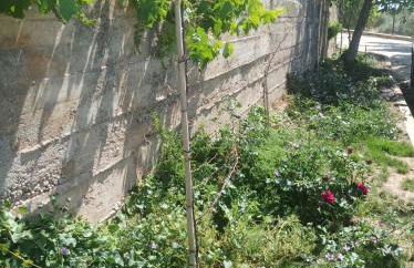 Apartamentos Rurales Rad Icarium - Photo 62