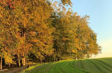 Apartamenty Buczyna w Sierakowie - Foto 6