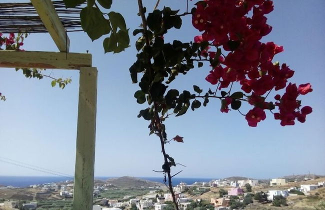 Kykladitiko Spiti - Foto 66